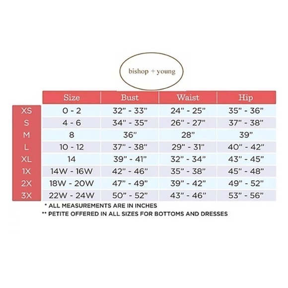 Bishop + Young Women's Soft Pebbled Satin Front Twist Karlie Top Size L Blue NWT - Picture 10 of 11